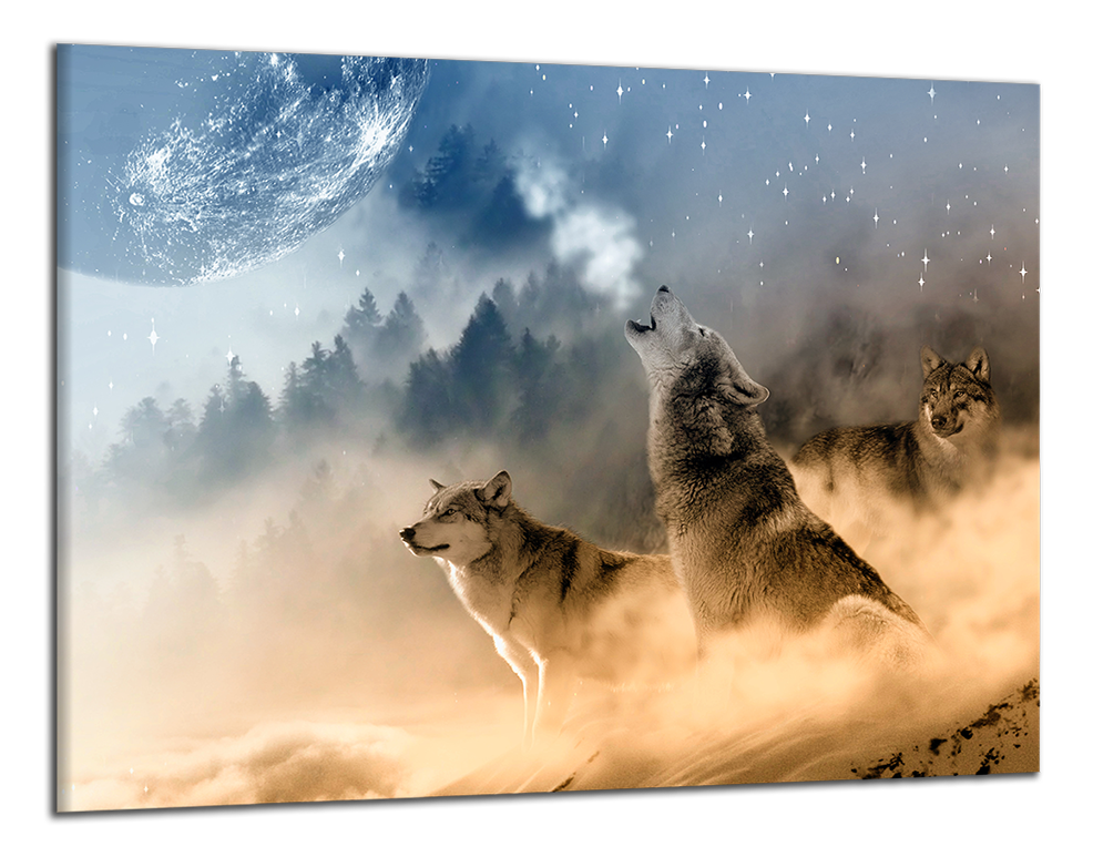 Obdelníkový obraz Vlci a měsíc
