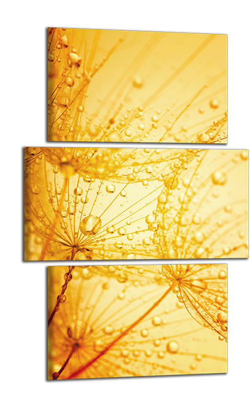 Obdelníkový obraz Pampelišky oranžová abstrakce