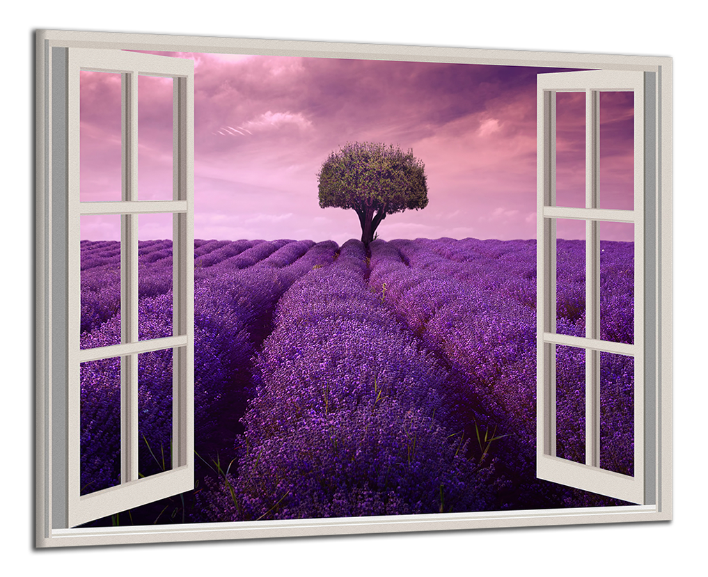 Obdelníkový obraz Okno do Provence