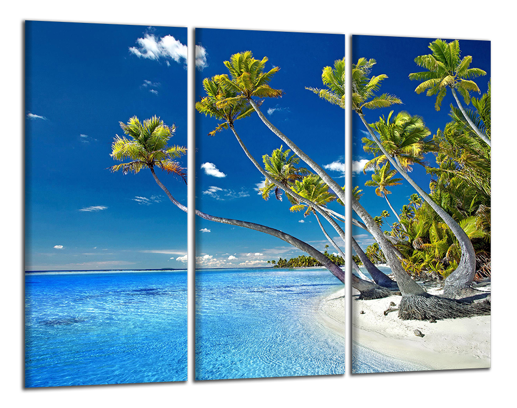 Obdelníkový obraz Obraz na stěnu Pláž a palmy