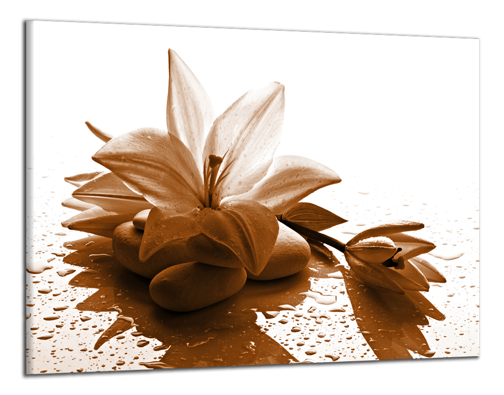 Obdelníkový obraz Moderní obraz Hnědý květ