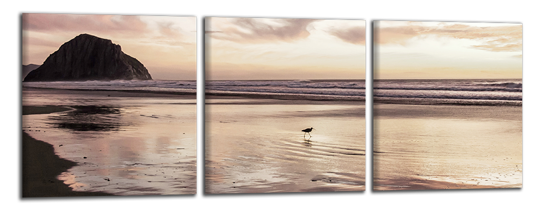 Panoramatický obraz Hnědá pláž