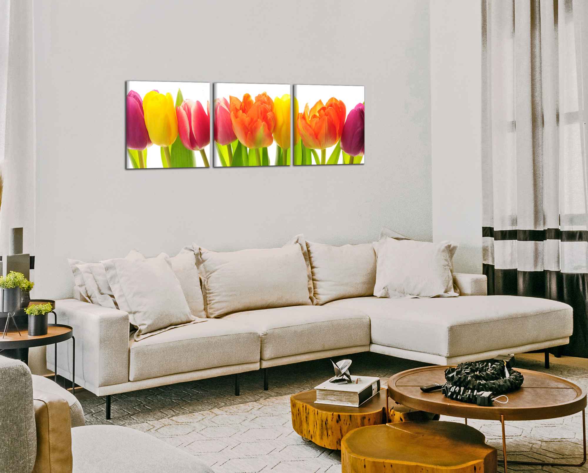 Panoramatický obraz Barevné tulipány