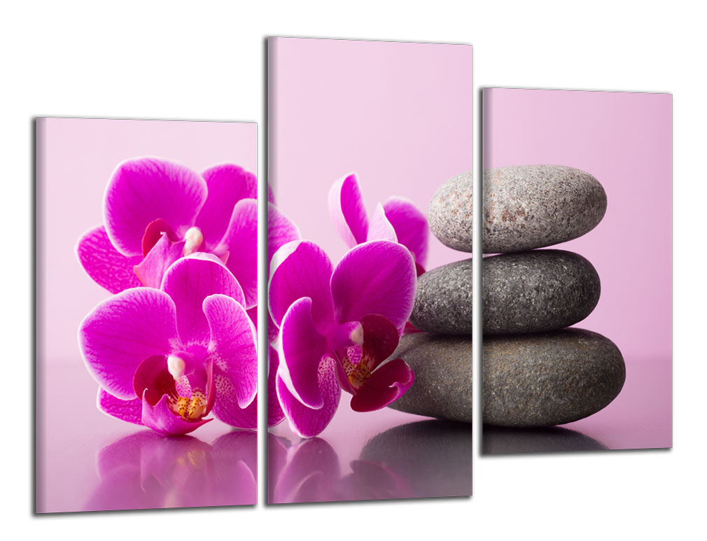 Obdelníkový obraz Orchidej a zen kameny