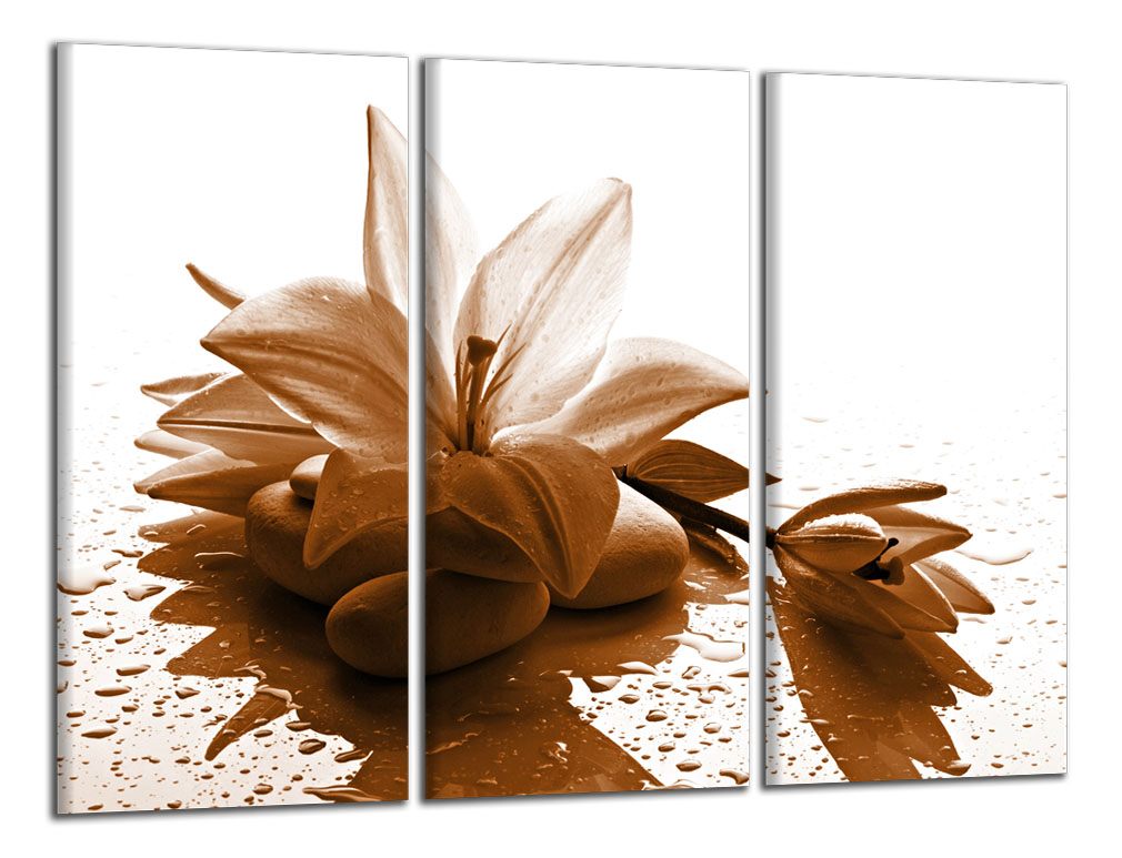 Obdelníkový obraz Moderní obraz Hnědý květ