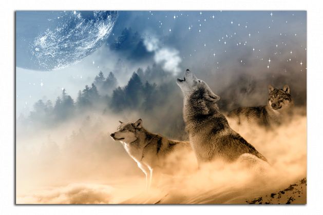 Obdelníkový obraz Vlci a měsíc