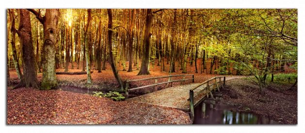 Panoramatický obraz Most v lese