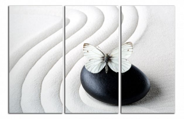 Obdelníkový obraz Motýl a kámen