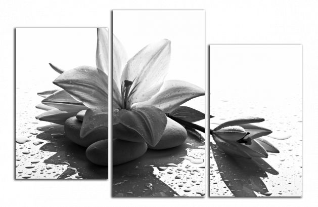 Obdelníkový obraz Černobílý květ