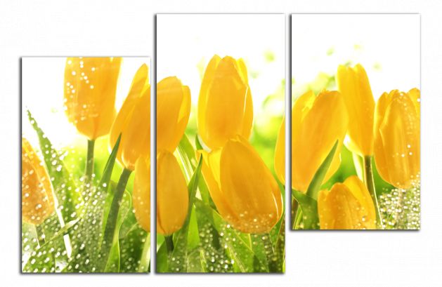 Obdelníkový obraz Žluté tulipány