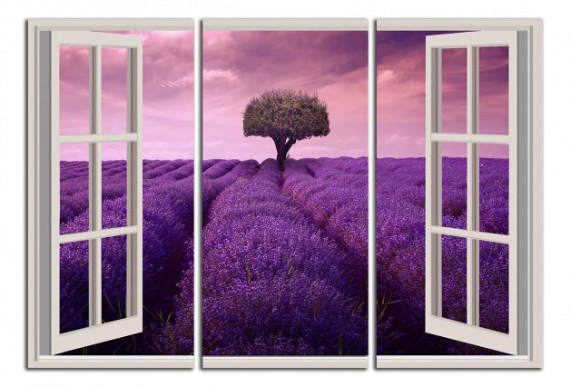 Obdelníkový obraz Okno do Provence