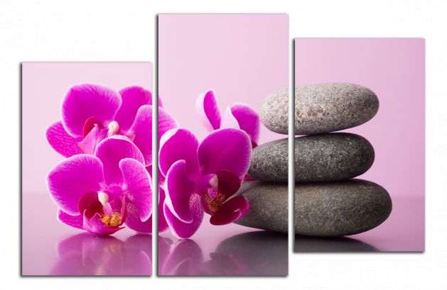 Obdelníkový obraz Orchidej a zen kameny