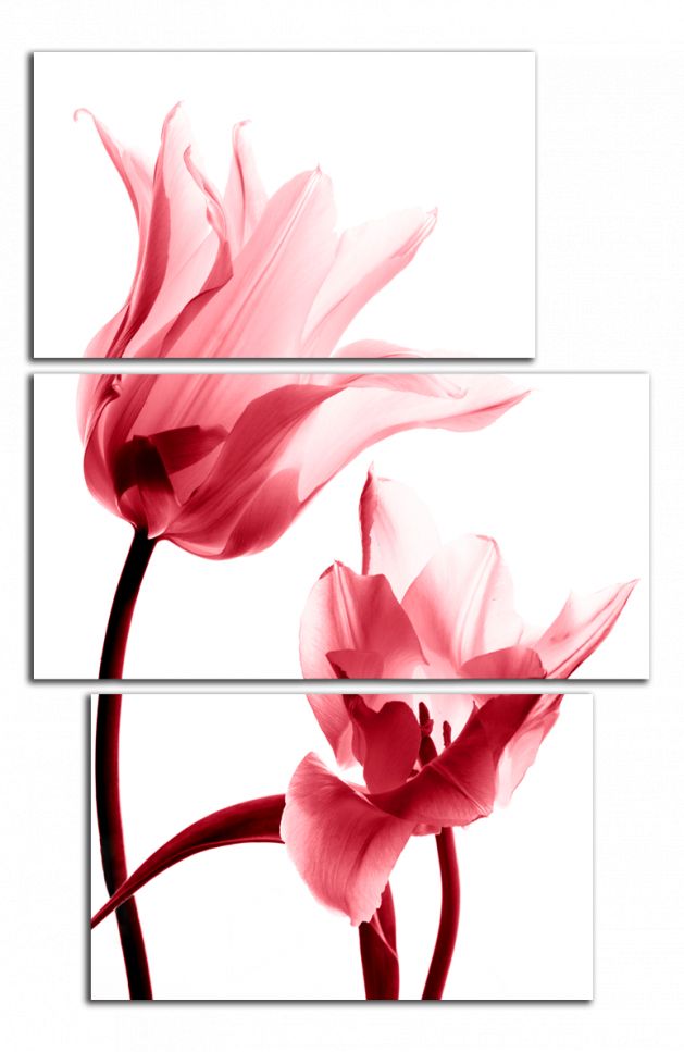 Obdelníkový obraz Červené tulipány