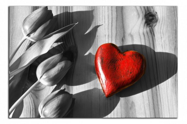 Obdelníkový obraz Srdce a tulipány