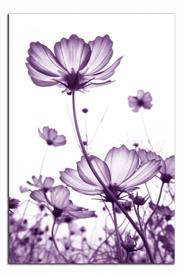 Obdelníkový obraz Fialové květy