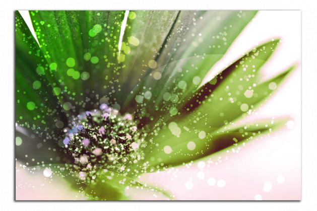 Obdelníkový obraz Zelený květ