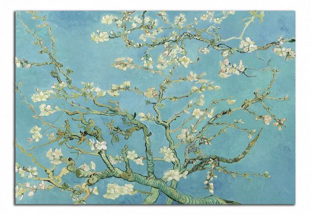 Obdelníkový obraz Mandlové květy - Van gogh