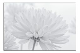 C2422